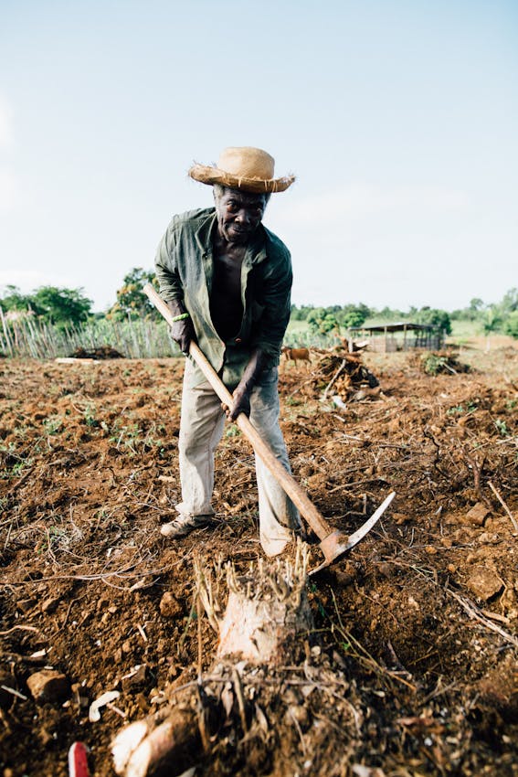 agriculteur 60+